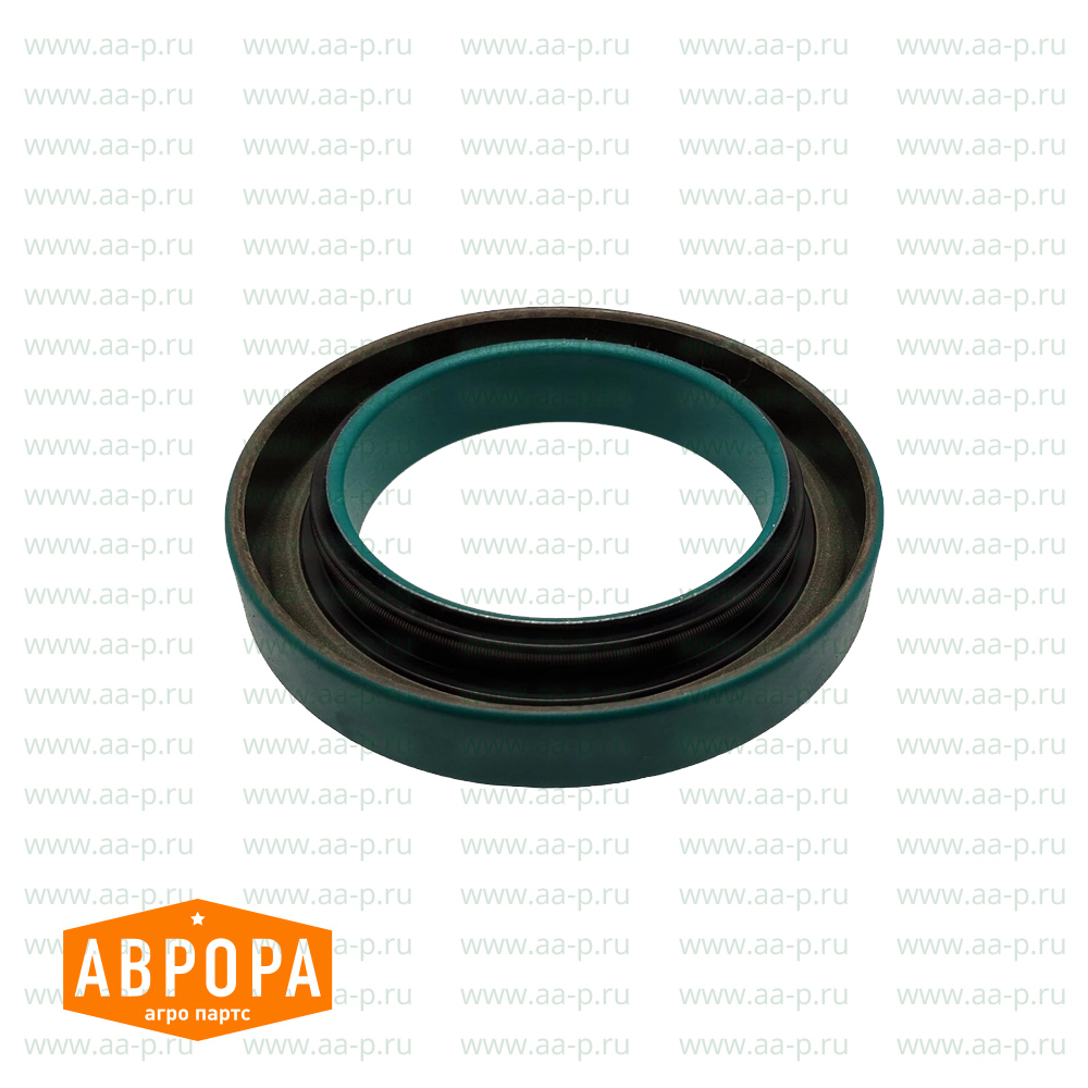 DZ111671 САЛЬНИК